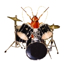 Cockroach claims to be original drummer of the boy-band.